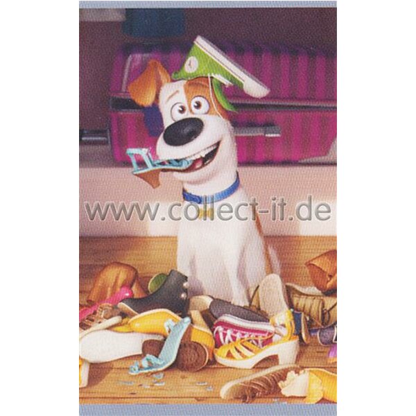 Sticker 13 - Pets Movie - Panini