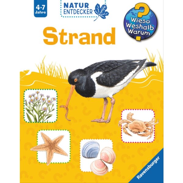 WWW Natur-Entdecker Strand