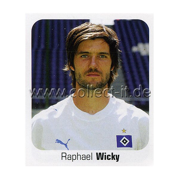 Bundesliga 2006/2007 - Sticker 243 - Raphael Wicky