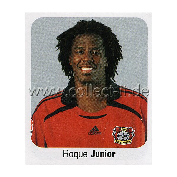 Bundesliga 2006/2007 - Sticker 289 - Roque Junior