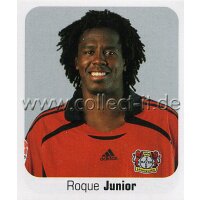 Bundesliga 2006/2007 - Sticker 289 - Roque Junior