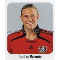 Bundesliga 2006/2007 - Sticker 301 - Andrej Voronin