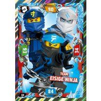 44 - Team Eisige Ninja - Helden Karte - Serie 5