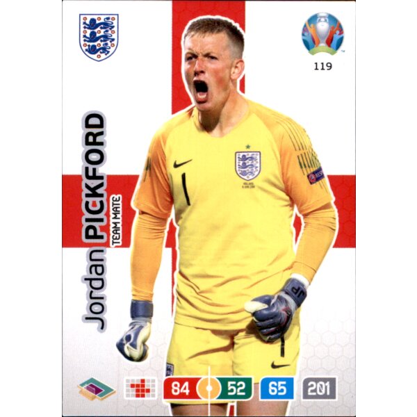 119 - Jordan Pickford - Team Mate - 2020