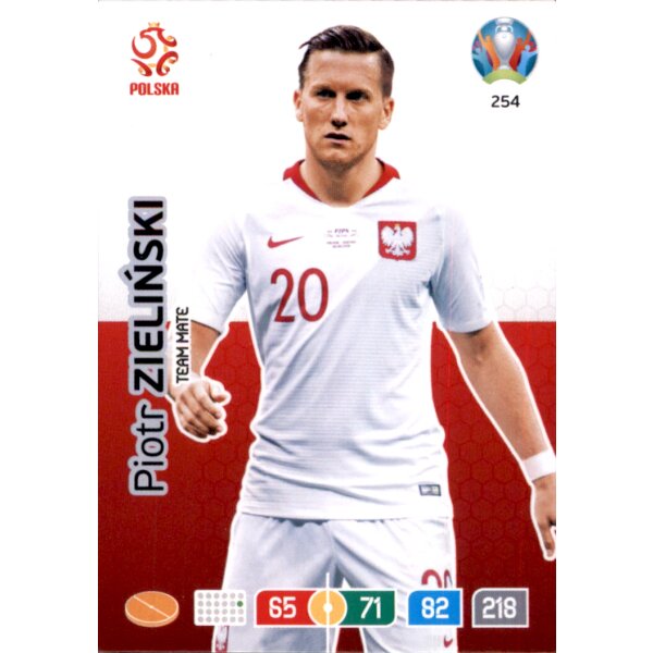 254 - Piotr Zielinski - Team Mate - 2020