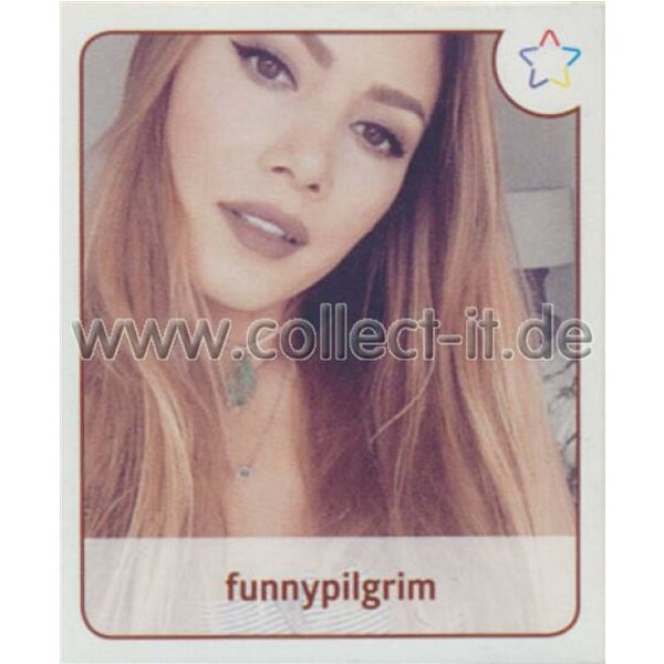 Sticker 134 - Panini - Webstars 2017 - funnypilgrim