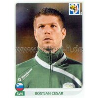 WM 2010 - 242 - Bostjan Cesar