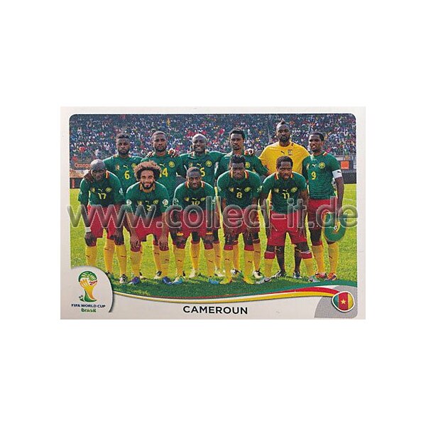 WM 2014 - Sticker 90 - Kamerun Team