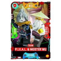 33 - Team P.I.X.A.L. & Meister Wu - Helden Karte -...