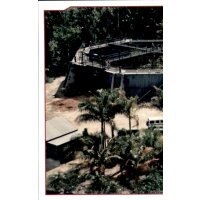 Sticker 116 - Jurassic World - 2020 Hybrid