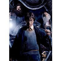 Karte 4 - Harry Potter Saga - 2020 Hybrid