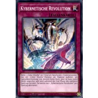 LDS2-DE037 - Kybernetische Revolution