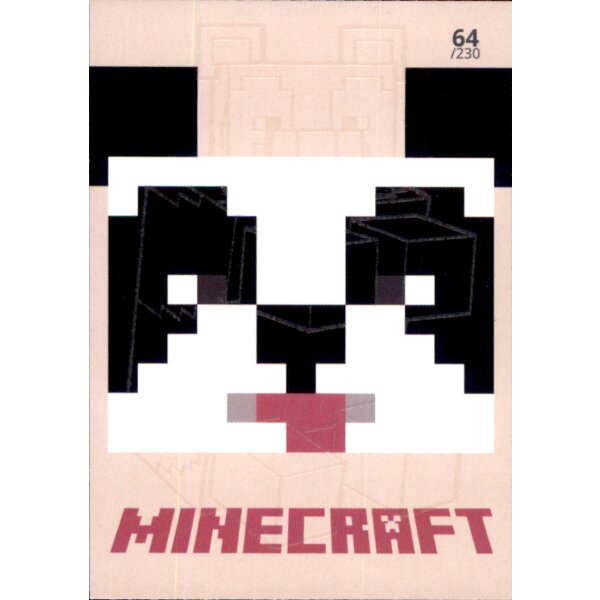 Karte 64 - Minecraft 2021