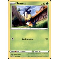 017/163 - Sensect - Common