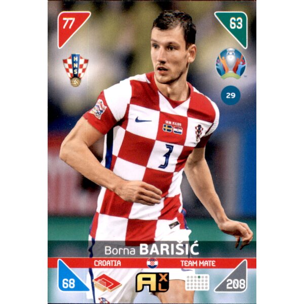 29 - Borba Barisic - Team Mate - 2021