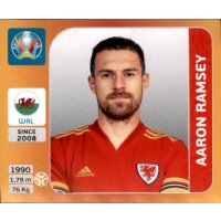 Panini EM 2020 Tournament 2021 - Sticker 113 - Aaron...