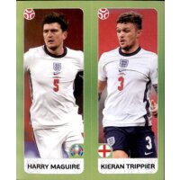 Panini EM 2020 Tournament 2021 - Sticker 423 - Harry...