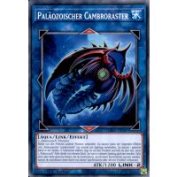 LIOV-DE047 - Paläozoischer Cambroraster - 1. Auflage