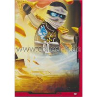 207 - Helden - Puzzle Karte - LEGO Ninjago SERIE 2