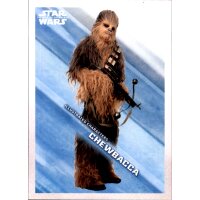 IC-6  - Chewbacca - Illustrated Charakter - Rise of...
