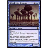 062 Schlafende Gomazoa