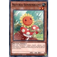 HAC1-DE102 - Naturia-Sonnenblume - Common