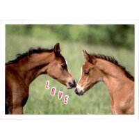 Sticker 14 - Blue Ocean - Horse Club Lieblingspferde