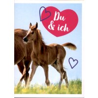 Sticker 18 - Blue Ocean - Horse Club Lieblingspferde