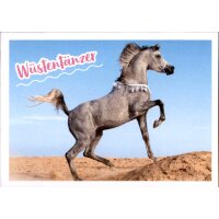 Sticker 22 - Blue Ocean - Horse Club Lieblingspferde