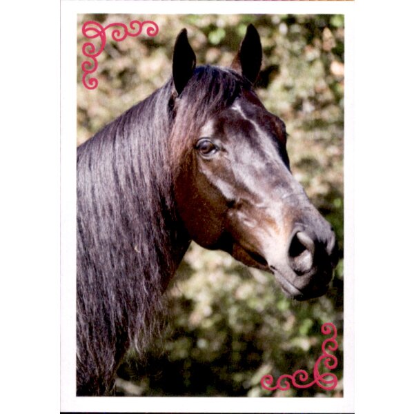 Sticker 23 - Blue Ocean - Horse Club Lieblingspferde