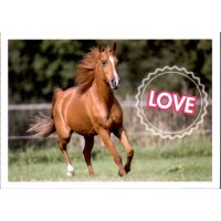 Sticker 30 - Blue Ocean - Horse Club Lieblingspferde