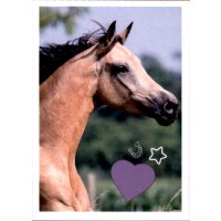 Sticker 34 - Blue Ocean - Horse Club Lieblingspferde