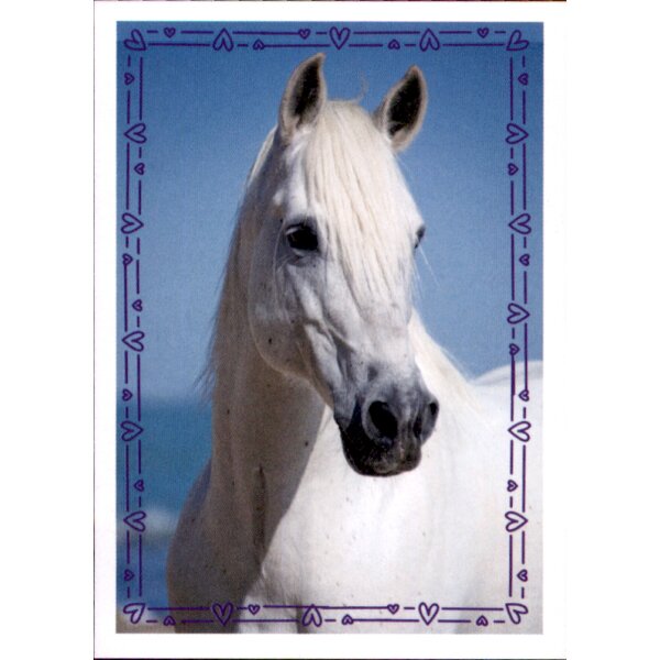 Sticker 39 - Blue Ocean - Horse Club Lieblingspferde