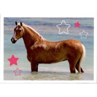 Sticker 41 - Blue Ocean - Horse Club Lieblingspferde