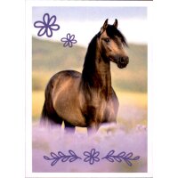 Sticker 52 - Blue Ocean - Horse Club Lieblingspferde