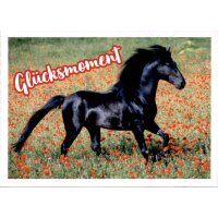 Sticker 53 - Blue Ocean - Horse Club Lieblingspferde