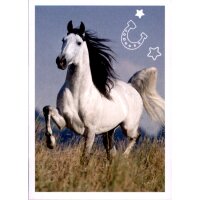 Sticker 65 - Blue Ocean - Horse Club Lieblingspferde