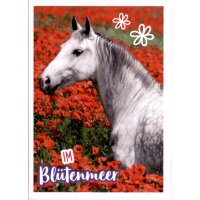 Sticker 75 - Blue Ocean - Horse Club Lieblingspferde