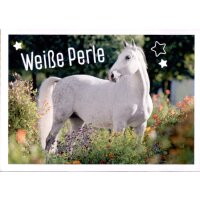 Sticker 79 - Blue Ocean - Horse Club Lieblingspferde