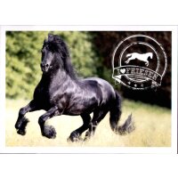 Sticker 84 - Blue Ocean - Horse Club Lieblingspferde