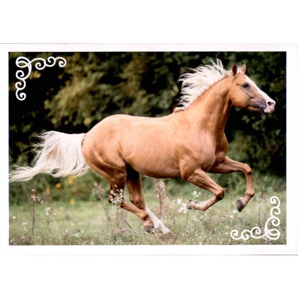 Sticker 93 - Blue Ocean - Horse Club Lieblingspferde