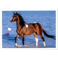 Sticker 110 - Blue Ocean - Horse Club Lieblingspferde