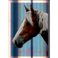 Sticker 113 - Blue Ocean - Horse Club Lieblingspferde