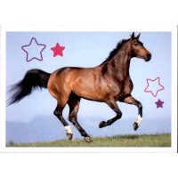 Sticker 115 - Blue Ocean - Horse Club Lieblingspferde