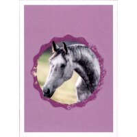 Sticker 119 - Blue Ocean - Horse Club Lieblingspferde