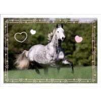 Sticker 120 - Blue Ocean - Horse Club Lieblingspferde