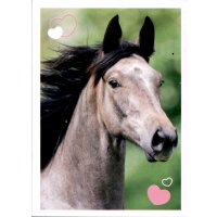 Sticker 126 - Blue Ocean - Horse Club Lieblingspferde