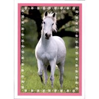 Sticker 129 - Blue Ocean - Horse Club Lieblingspferde