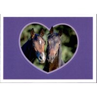 Sticker 130 - Blue Ocean - Horse Club Lieblingspferde