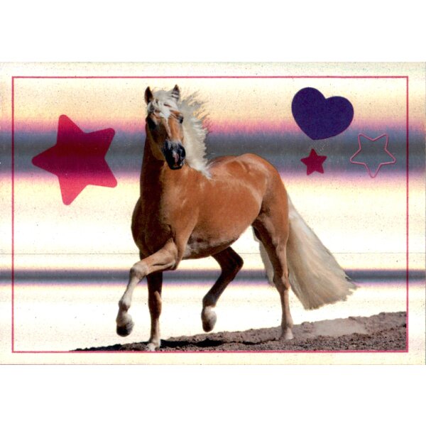 Sticker 165 - Blue Ocean - Horse Club Lieblingspferde
